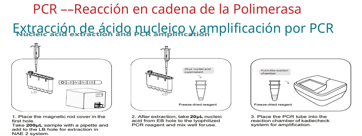 Vet Plus Life Point Of Care Test