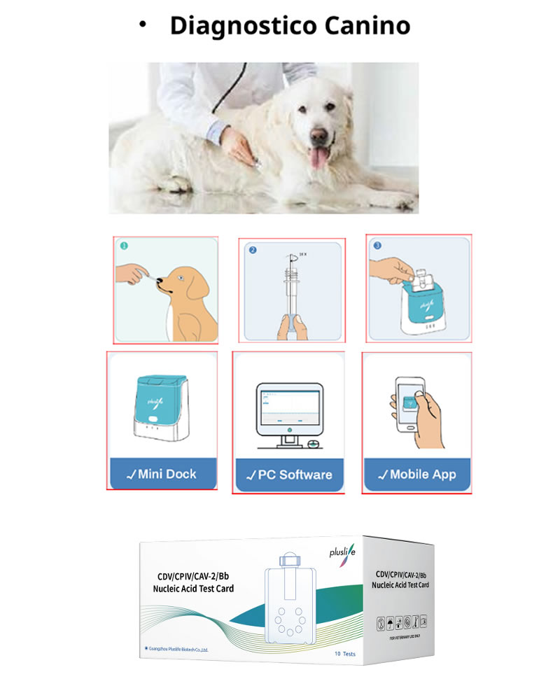 Vet Plus Life Point Of Care Test Diagnostico Felino