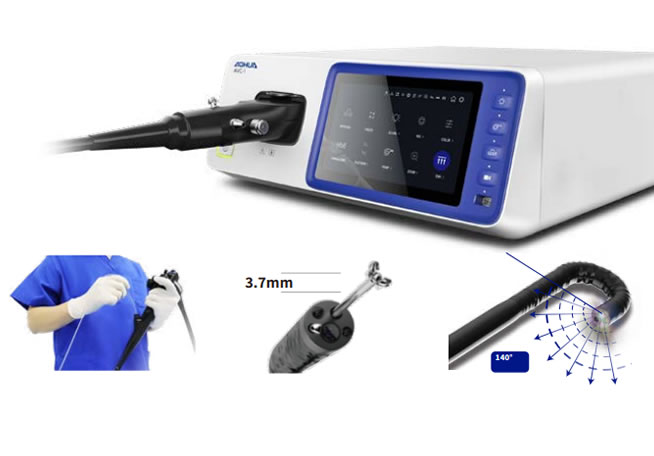 Endoscopio Flexible Equipamiento Veterinario Equino