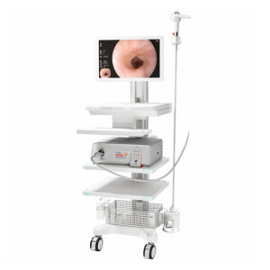 endoscopio endo fresh especifico para veterinaria